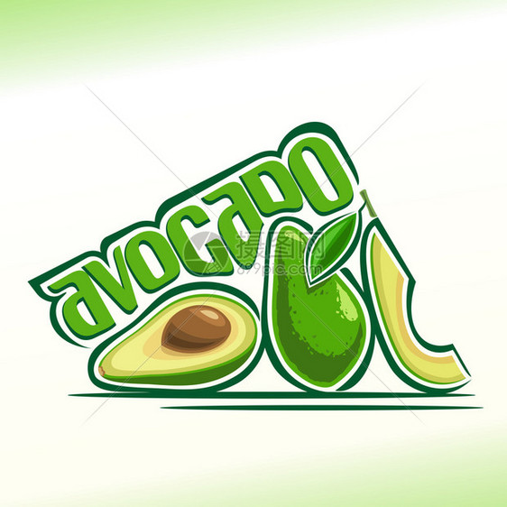 Avocado主题的图片