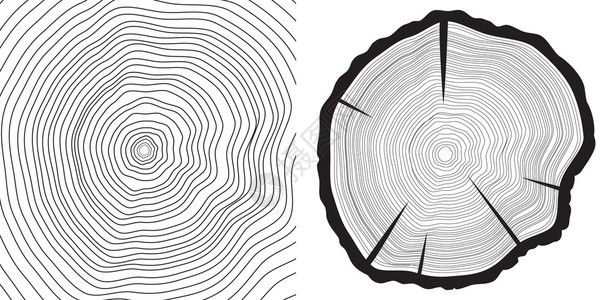 矢量锯切干和年轮图片