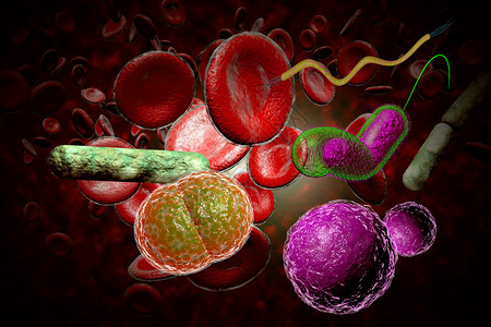 3D显微镜近距离接近许多细菌这些细菌图片