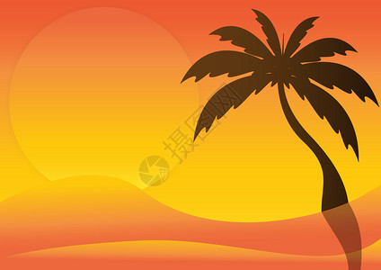 带日出和棕榈树的沙漠休图片