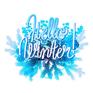 冬天你好冬青叶和浆果针叶树枝和蓝色球果孤立在白色背景图片