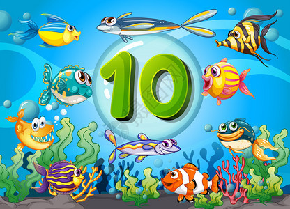 抽认卡第10号与条鱼水下插图图片