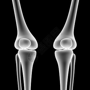 人体骨骼膝关节的3D插图图片