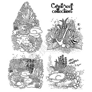 以艺术风格收集珊瑚礁海洋和海洋植物以及白色的岩石被隔离图片