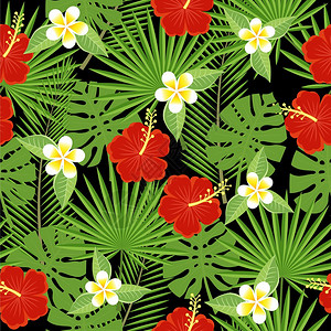 无缝的热带叶子和花朵棕榈龟背竹图片