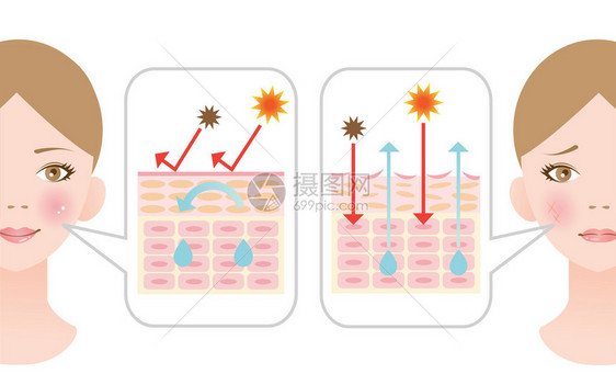 皮肤图示干皮肤和健康图片