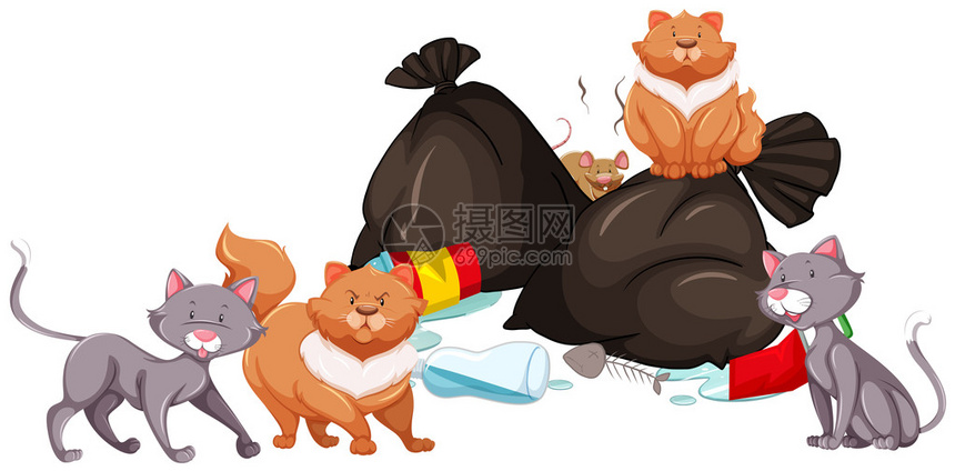 垃圾堆周围的猫和老鼠插图图片
