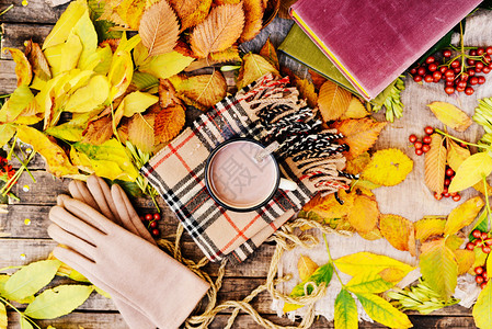 温暖的针织围巾和木托盘上的一本书宁静的秋天水果叶子橡子静物在乡村秋天静物与一杯茶一杯茶图片