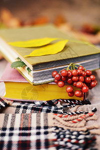 温暖的针织围巾和木托盘上的一本书宁静的秋天水果叶子橡子静物在乡村秋天静物与一杯茶一杯茶图片
