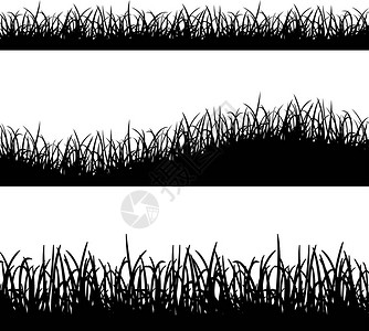 白色背景上的草剪影插图图片