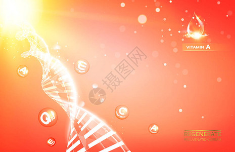 DNA分子的科学插图有机和护肤霜护肤理念紫外线防护和美白霜气泡与字母图片