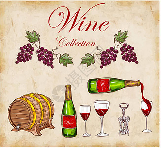葡萄酒收藏的矢量图图片