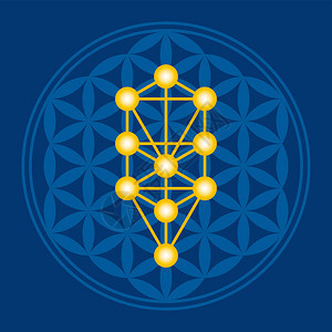 在深蓝色的蓝色生命之花的金树KabbalahSephirots是一个古老的曼陀罗符号背景图片