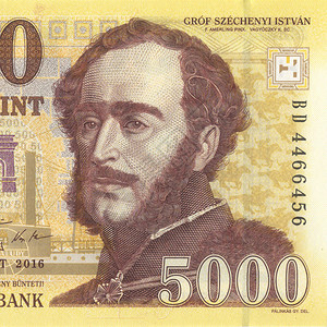 匈牙利货币5000福图片