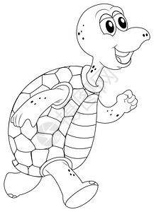 龟插图的动物大纲图片