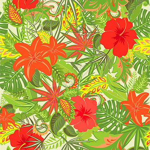 夏日热带花卉壁纸图片
