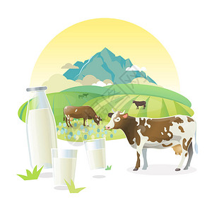 奶牛在高山草原上放牧图片