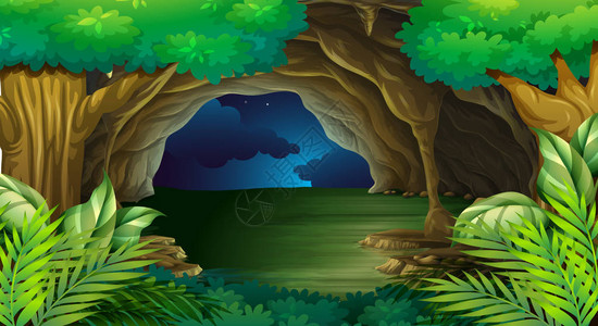 夜间森林场景图图片