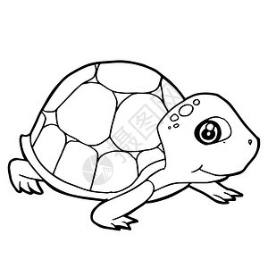 卡通可爱的乌龟彩页矢量图图片