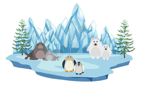 北极陆地插图中的野生动物背景图片
