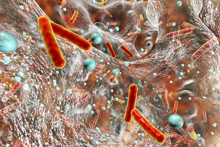 生物胶卷中的抗生素抗药细菌3D插图图片