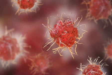 Dendritic细胞抗原呈现的免疫细胞图片
