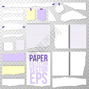 从螺旋装订笔记本上撕下的纸片在透明背景上隔离的干净或空白页面撕下活页夹白色方格纸和横格纸图片