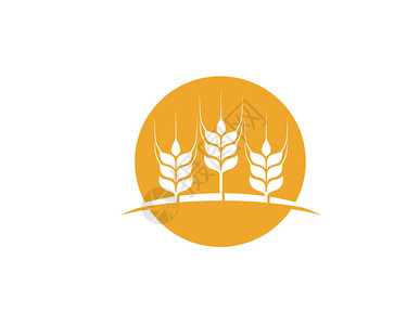 农业小麦模版小麦板矢量背景图片