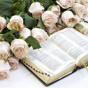 美丽的玫瑰和木制背景上的圣经背景图片