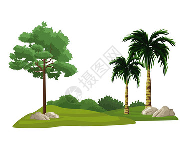 树木和灌木丛设计矢量插图平面设计图片