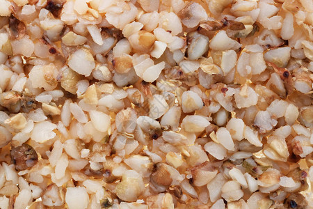 以膳食粥为形式的小麦煮熟麦粒子工作室图片