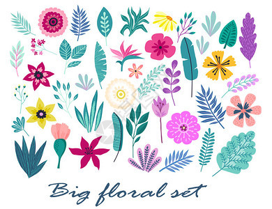 一大套手绘热带花卉棕榈叶和树枝夏季插图概念与热带花卉芙图片
