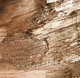 抽象的棕色木背景图片