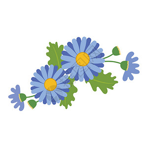 自然花蓝雏菊矢量植物园花卉叶植物图片