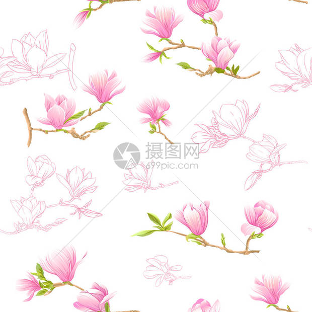 无缝模式与粉红色的玉兰花矢量图在白色背景上隔离彩图片