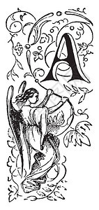 装饰字母AA一个天使在下面拿着葡萄藤古老的线条图背景图片