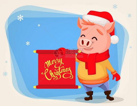 圣诞贺卡与可爱的猪戴着圣诞老人的帽子和围巾欢快有趣的卡通人物拿着卷轴祝贺冬图片