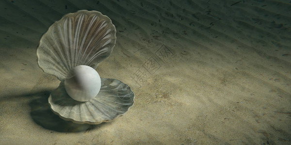 珍珠在水中的牡蛎壳里在背景图片