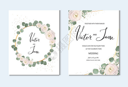 玫瑰阿内蒙彩虹粉色花朵和装饰型的叶绿花将贺卡设置成一套婚礼邀请模图片