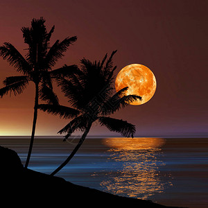 海边月亮3D插图日落时的美丽风景设计图片