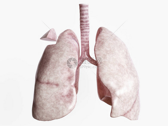 严重肺部疾病后的楔形切除1of4图片