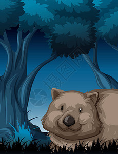 黑暗森林插图中的袋熊图片