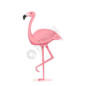 卡通粉红火烈鸟孤立在白图片