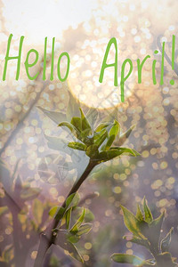 横幅你好四月你好春天四月你好欢迎卡我们正在等待新的春天春月春图片