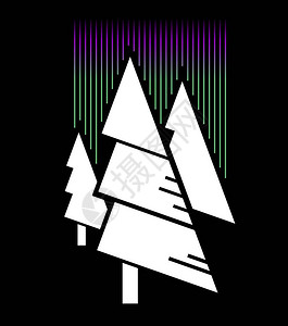 极简主义中的抽象自然白色圣诞树和黑色背景上的抽象北极星图片