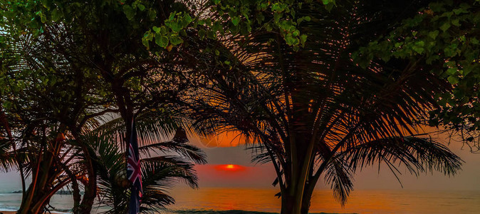 海滩日出棕榈椰子树海洋日落抽象背景质模糊的纹理图片