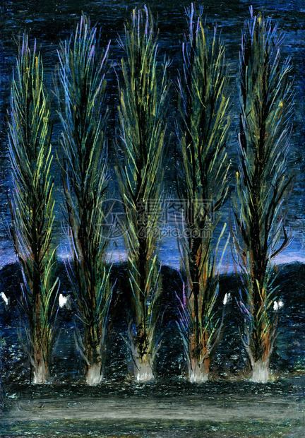 与树木的夜景杨树在日落和森林覆盖的小山的背景下用于画册的设计封面艺术插图和图片