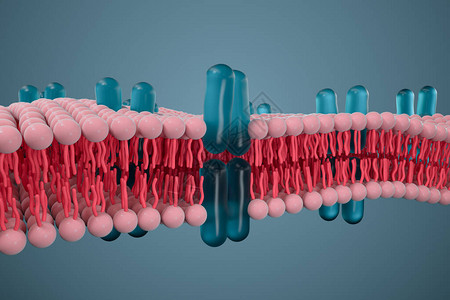 细胞膜和生物学生物概念3D成像计图片