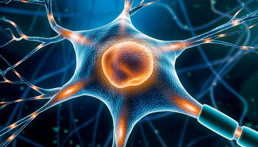 神经元细胞特写3D渲染插图与沿树突轴突体细胞和细胞核的神经冲动神经元和大脑活动神经系统神经科学神经学解剖图片
