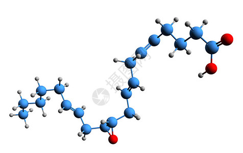 东部华侨城12环氧二十碳三烯酸骨架式的3D图像在白色背景下分离的11设计图片